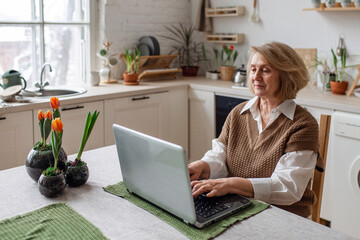 Cheerful senior woman checking information on laptop online, video call to children or friends, busy working at computer. Senior people and technology concept