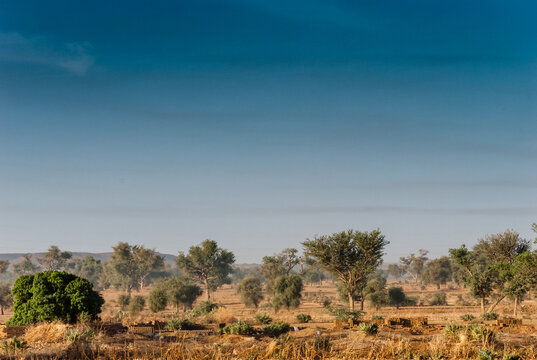Paysage du Niger