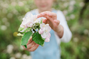 Spring Inspiration, nature in spring. Little girl holding a blooming branch of an apple tree, selective focus