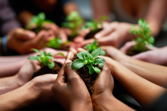 Conserving our future. Shot of a group of people each holding a plant growing in soil.