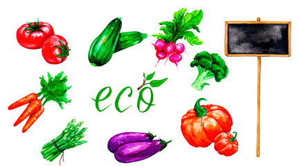 Watercolor set of eco vegetables and chalk plate. Great source of vitamin. The concept of a healthy lifestyle.