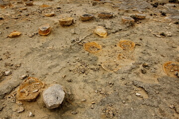 Rock formations on the limstone on Australian coast