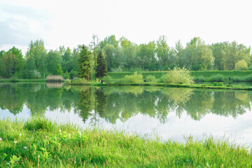 Fototapeta na wymiar Wiosna nad jeziorem