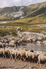 Obraz premium Abruzzo, Campo imperatore