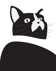 Surprised Black Cat Uh oh