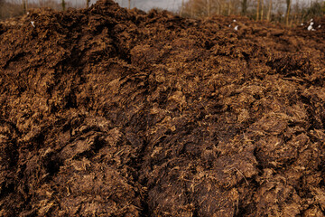 Brown cow manure - natural fertilizer - obrazy, fototapety, plakaty