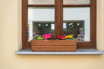 Fototapeta na wymiar Close-up of a yellow wall with a wooden box with colorful flowers on a windowsill outside in Krakow, Poland