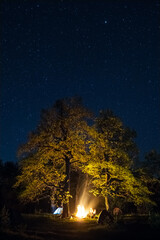 Naklejka premium Bonfire under the big tree and night sky full of stars
