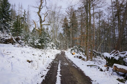 Winterlandschaft Externsteine