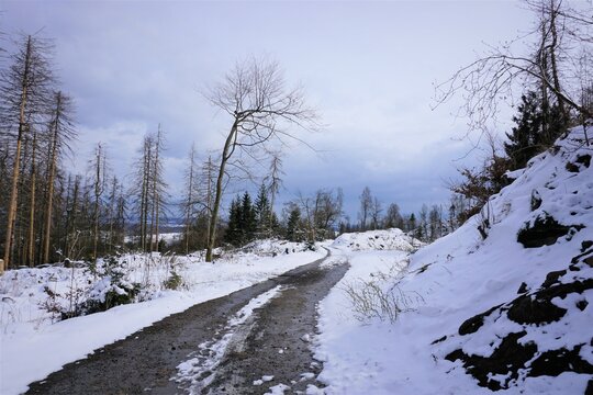 Winterlandschaft Externsteine