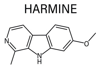 Fototapeta premium Harmine alkaloid molecule. Herbal inhibitor of monoamine oxidase A. (MAO-A). Skeletal formula.