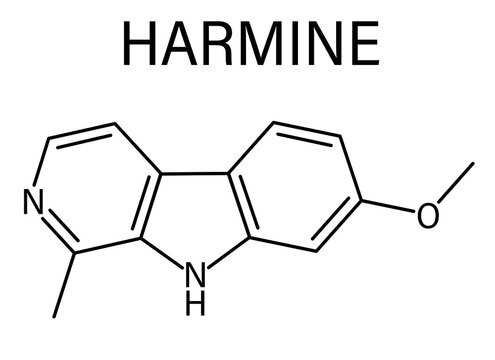 Harmine alkaloid molecule. Herbal inhibitor of monoamine oxidase A. (MAO-A). Skeletal formula.