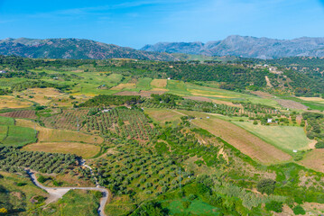 Countryside of Andalusia near Ronda in Spain.