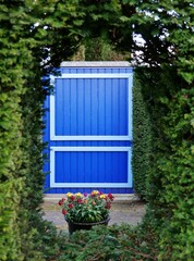 Blaue Holztür hinter Heckenschnitt