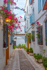 whitewashed streets of the jewish quarter of the spanish city cordoba.