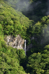 waterfall of heart shape in summer