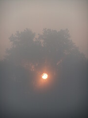 Sun through Fog