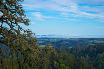 Fototapeta na wymiar Sonoma County Green Valley with Clouds