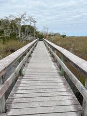Obraz premium wooden bridge in the forest