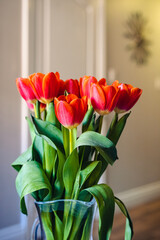 Bouquet of tulips