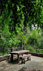 Fototapeta premium Beautiful green garden. old wooden table