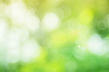 Abstract blurred green color for background, Blur leaves at the health garden outdoor and white bubble focus texture.