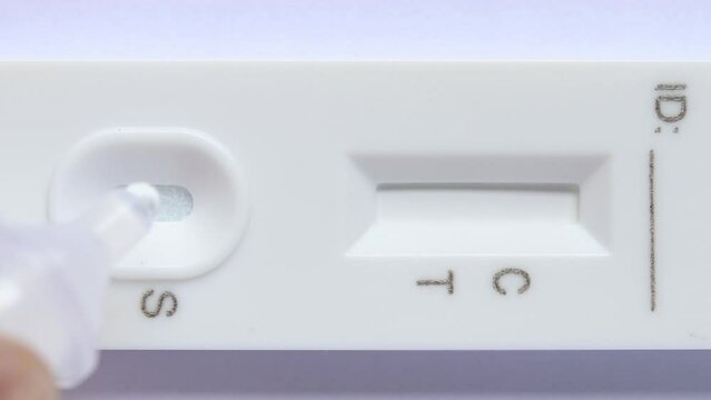 Liquid drops into cassette of Coronavirus Covid-19 and showing Covid-19 negative test result on test strip. Covid-19 antigen self test kit at home. Close up shot