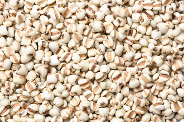 Job's tears ( Adlay millet) texture background.