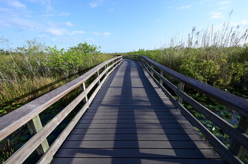 Anhinga Trail and boardwalk in Everglades National Park, Florida on sunny April morning.