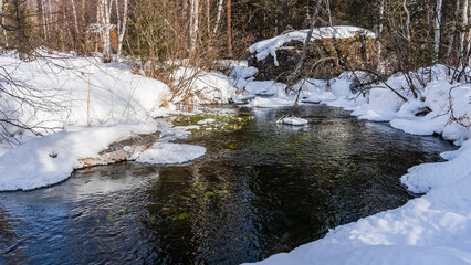 Spring stream flows in the forest between snowdrifts. Islands of melted snow on the water. Reflection. A picturesque boulder in the distance. Altai