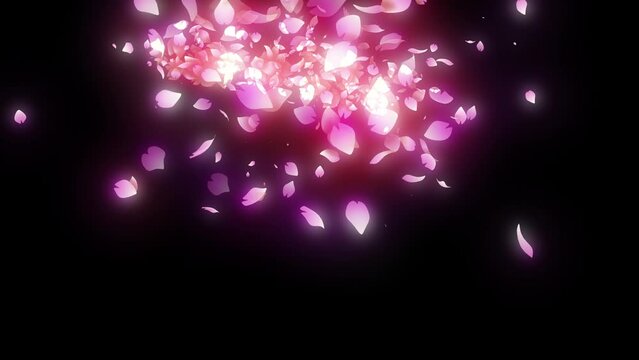 sakura cherry blossom particle animation