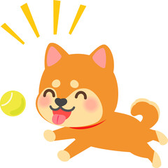 ボールを追いかけて遊ぶ柴犬