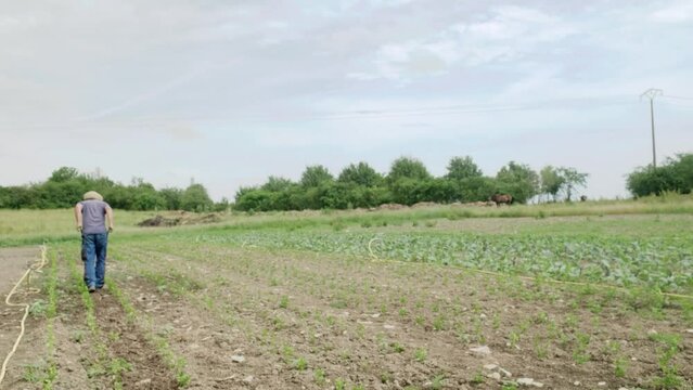 Farmer plowed the land of outdoor garden during a sunny day using manual tiller