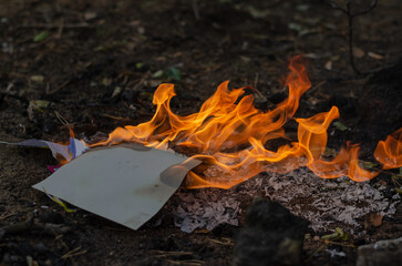 Burning in the fire of a torn notebook. The cover and the multi-colored sheets burn into gray ash.