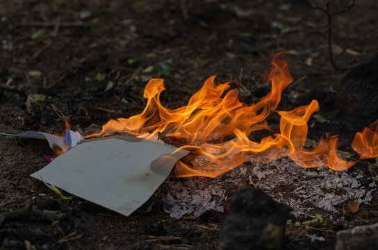 Burning in the fire of a torn notebook. The cover and the multi-colored sheets burn into gray ash.