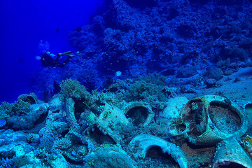 underwater landscape in the sea on a coral reef background