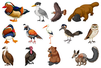 Different kinds of animals collection