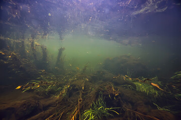 abstract underwater background in the lake, clean freshwater