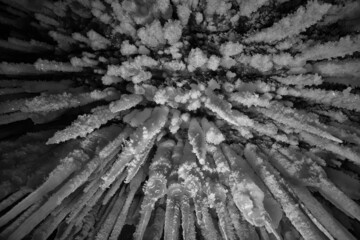 icicles background winter seasonal frozen outdoor roof