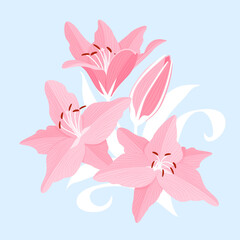 Fototapeta na wymiar Flower background with pink beautiful lilies. Lilly vector illustration