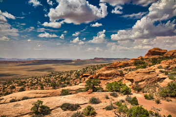 Naklejka premium Arches National Park 