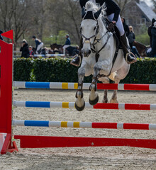 Pferd springt über ein Hindernis beim Springreiten