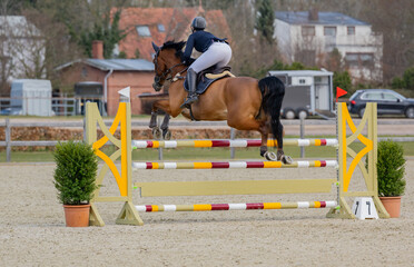 Pferd springt über ein Hindernis beim Springreiten