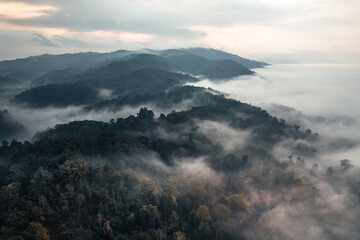 landscape, summer scenery on the mountain in the evening