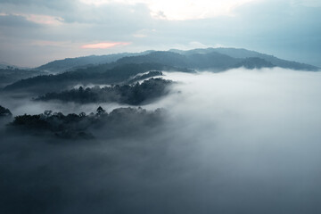 landscape, summer scenery on the mountain in the evening