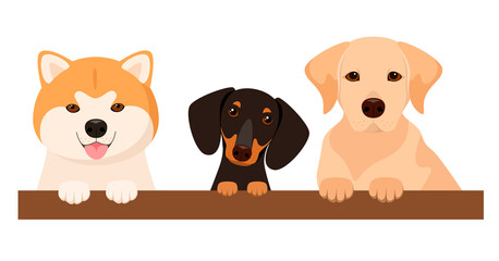 Obraz premium Funny dogs on a white background. Cartoon design. 