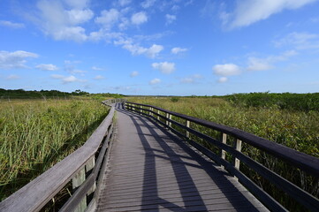 Obraz na płótnie Canvas Anhinga Trail and boardwalk in Everglades National Park, Florida on sunny April morning.