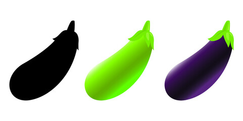 Eggplant or brinjal vector isolated on white. Healthy vegetables.
