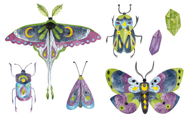 Butterfly, watercolor set. Esoteric, astrological concept illustration