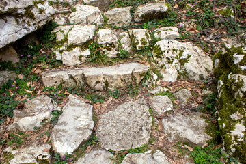 Stone path in the forest. Ancient Caucasian forest. Texture of stones, ground and grass of a forest path. Stone path made of white boulders. Spring.